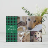 OR NICE いけな Green Plaidハッピーホリデー3写真 シーズンカード (スタンド正面)