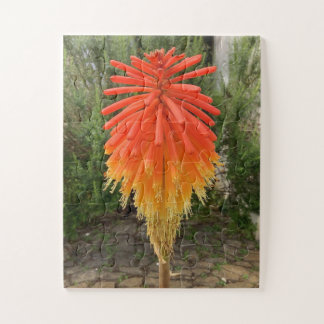 Orange and Yellow Flower ジグソーパズル