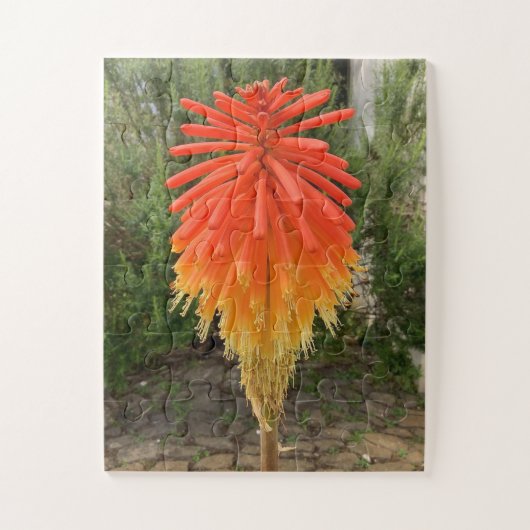 Orange and Yellow Flower ジグソーパズル (縦)