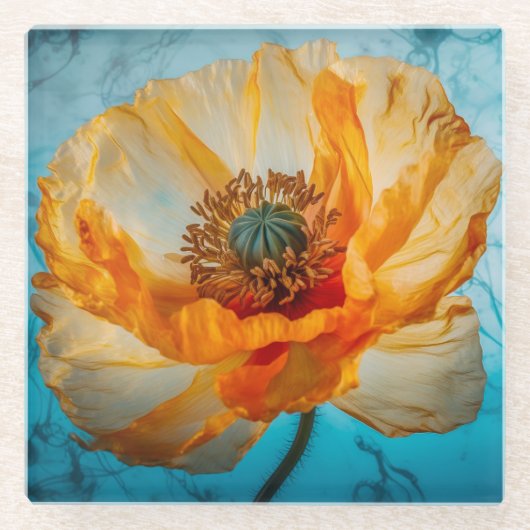 Orange Beauty  ガラスコースター (正面)