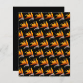 Orange Bird of Paradise Black Scrapbook Paper (正面/裏面)