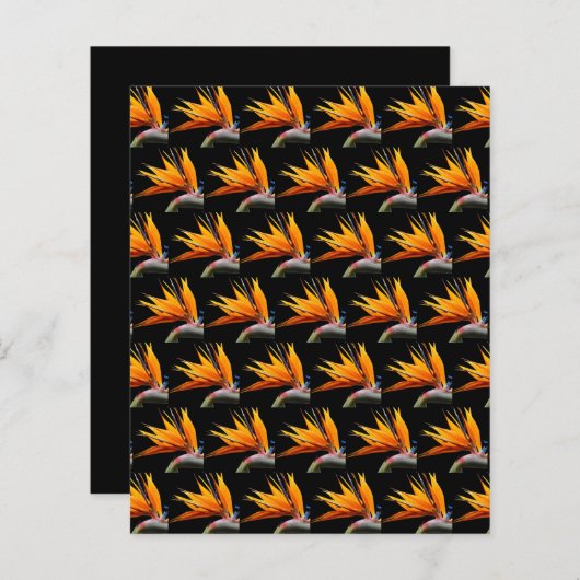 Orange Bird of Paradise Black Scrapbook Paper (正面/裏面)