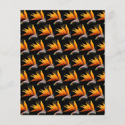 Orange Bird of Paradise Black Scrapbook Paper (正面)