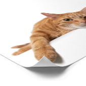 Orange Cat Laying Down ポスター (角)