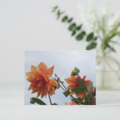 Orange Dahlia's in Blue Autumn Sky DIY Postcard シーズンポストカード (スタンド正面)