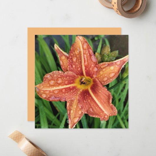 Orange Day Lily Greetings Card ノートカード (正面/裏面インサイチュ)