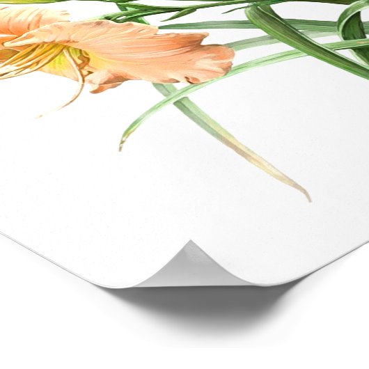 Orange Daylilies Original Botanical Art Print ポスター (角)