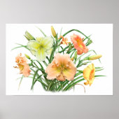 Orange Daylilies Original Botanical Art Print ポスター (正面)