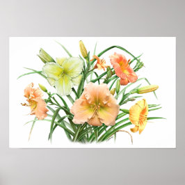 Orange Daylilies Original Botanical Art Print ポスター