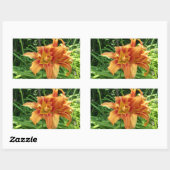 Orange Daylily Flowers Horizontal 長方形シール (シート)