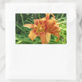 Orange Daylily Flowers Horizontal 長方形シール (バッグ)