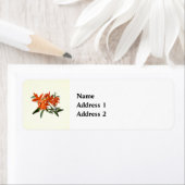 Orange Epidendrum Orchid ラベル (インサイチュ)