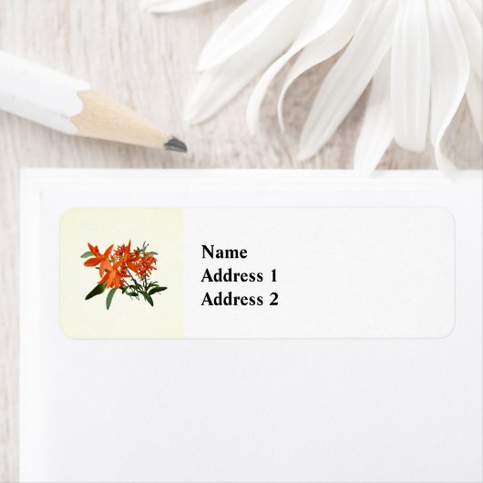 Orange Epidendrum Orchid ラベル (インサイチュ)