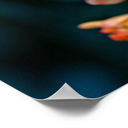 orange floral ポスター (角)