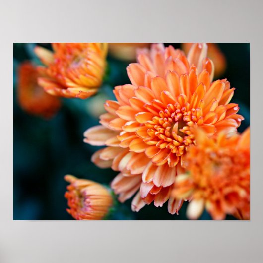 orange floral ポスター (正面)