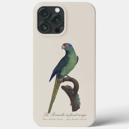 Orange-Fronted Parakeet, Eupsittula Canicularis Case-Mate iPhoneケース (裏面)