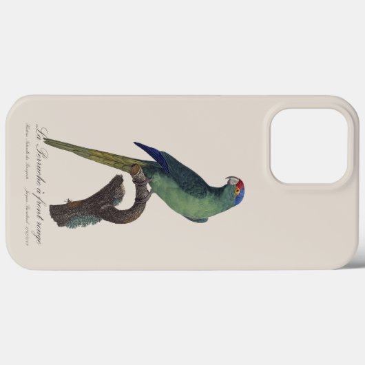 Orange-Fronted Parakeet, Eupsittula Canicularis Case-Mate iPhoneケース (裏面 (横))