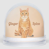 Orange Ginger Tabby Cat Personalized (正面)
