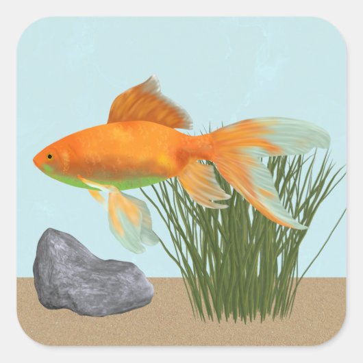 Orange Goldfish Nature Aquarium Sticker Sheet スクエアシール (正面)
