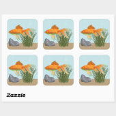 Orange Goldfish Nature Aquarium Sticker Sheet スクエアシール (シート)