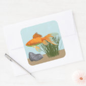 Orange Goldfish Nature Aquarium Sticker Sheet スクエアシール (封筒)