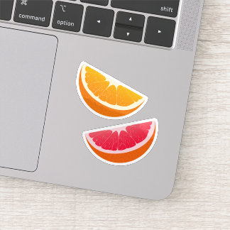 Orange & Grapefruit Citrus Stickers シール