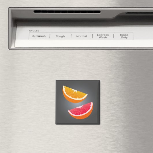 Orange & Grapefruit Slice Refrigerator Magnet マグネット (インサイチュ (食洗機))