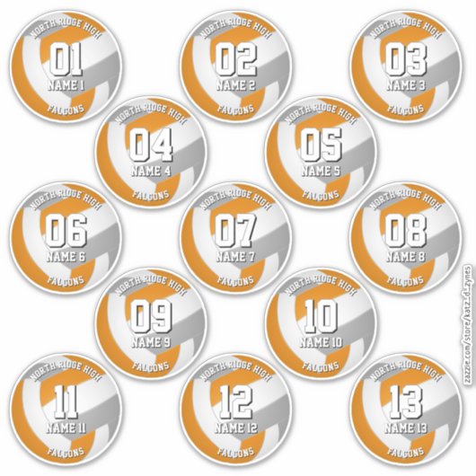 orange gray volleyball team stickers 13 athletes シール (正面)
