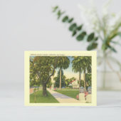Orange Grove Ave., Pasadena，カリフォルニアヴィンテージ ポストカード (スタンド正面)