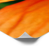 Orange Hibiscus ポスター (角)