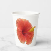 Orange Hibiscus Flower Tropical Floral 紙コップ (裏面)