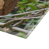 Orange Iguana, Wildlife Lizard写真 カッティングボード (角)