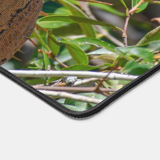 Orange Iguana, Wildlife Lizard写真 デスクマット (コーナー)