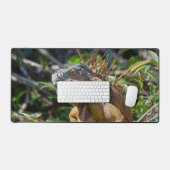 Orange Iguana, Wildlife Lizard写真 デスクマット (キーボード&マウス)