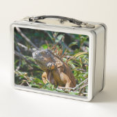 Orange Iguana, Wildlife Lizard写真 メタルランチボックス (裏面)