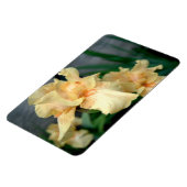 Orange Irises in a Summer Garden マグネット (左側)