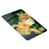 Orange Irises in a Summer Garden マグネット (右側)