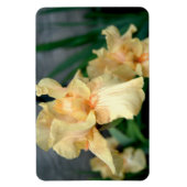 Orange Irises in a Summer Garden マグネット (縦)