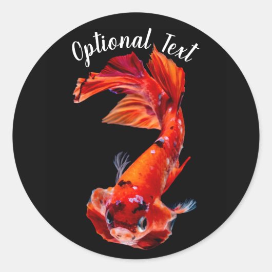 Orange Koi Betta Fighting Fish ラウンドシール (正面)