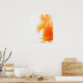 Orange lionhead goldfish (Carassius auratus) ポスター (キッチン)