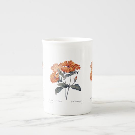 Orange Lychnis Redoute  ボーンチャイナマグカップ (正面)
