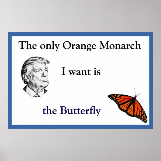 Orange Monarch Poster ポスター (正面)