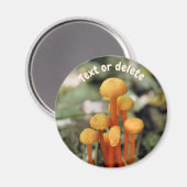 Orange Mushrooms Nature Personalized マグネット (正面/裏面)