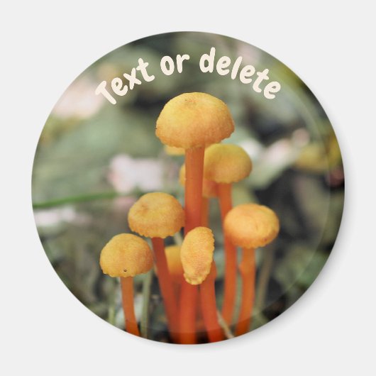 Orange Mushrooms Nature Personalized マグネット (正面)