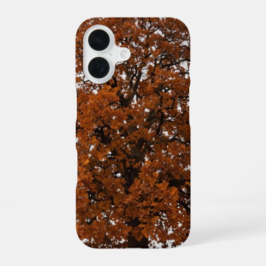 Orange Oak Tree Autumn Phone Case iPhone 16ケース (裏面)
