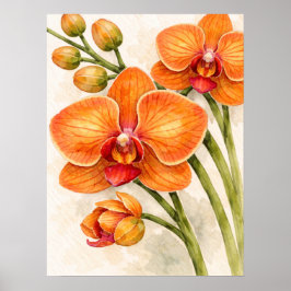 Orange Phalaenopsis Orchid Botanical Watercolor ポスター