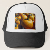 Orange Pumpkins キャップ (正面)