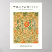 Orange Rose ポスター (正面)