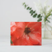 Orange Rose Postcard ポストカード (スタンド正面)