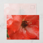 Orange Rose Postcard ポストカード (正面/裏面)